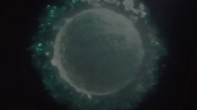 Marty Supreme - Fondo