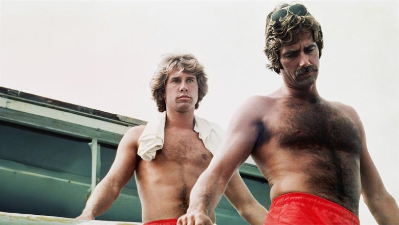 Lifeguard - Fondo