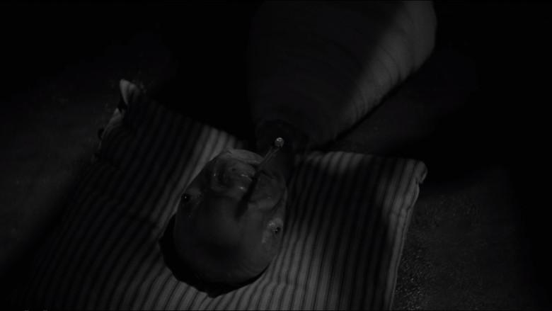 Cabeza borradora - Fondo