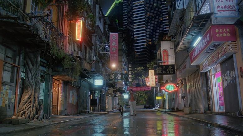 我愛扭紋柴 - Fondo