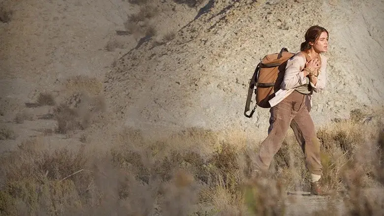 Borrego – Sal Del Camino - Fondo