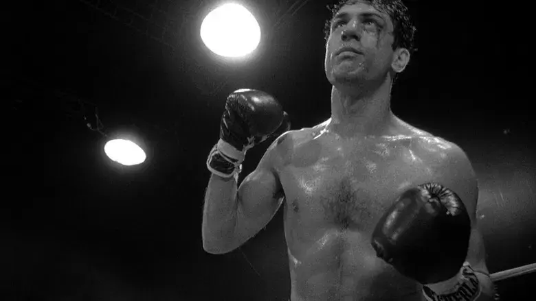 Toro salvaje - Fondo