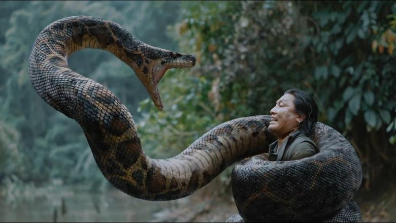 Anaconda - Fondo
