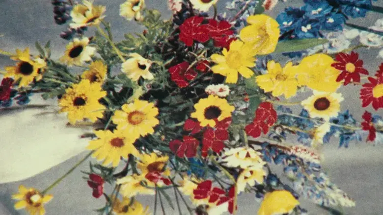 Dos o tres cosas que yo sé de ella - Fondo