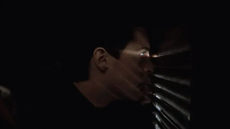 Terciopelo azul - Fondo