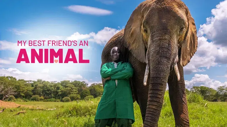 My Best Friend's An Animal - Fondo