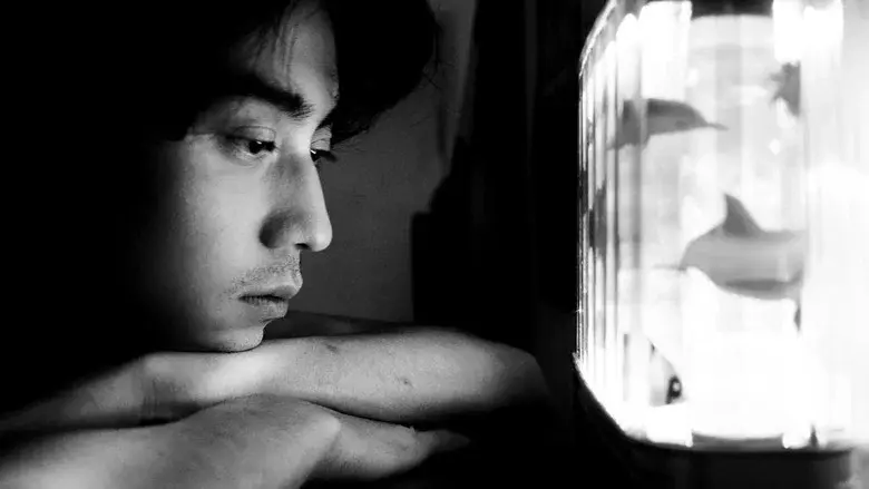 Queerpanorama - Fondo