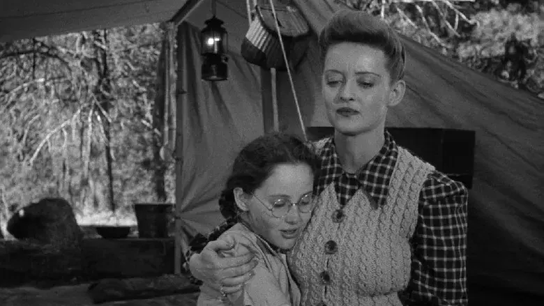 La extraña pasajera - Fondo