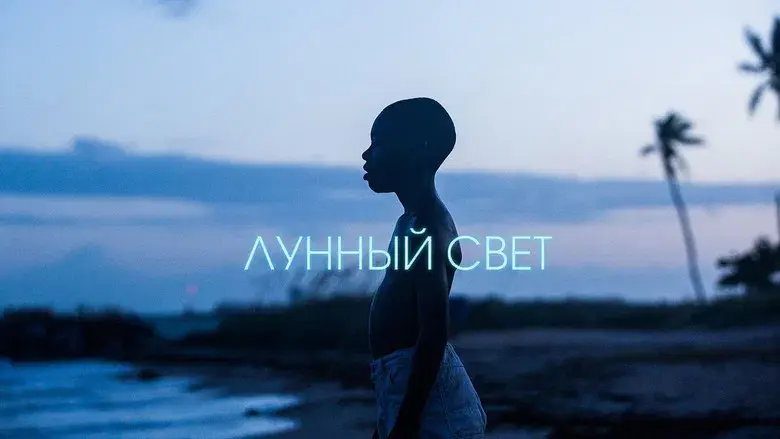 Moonlight - Fondo