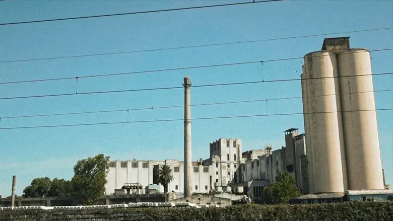 School Privada Alfonsina Storni - Fondo