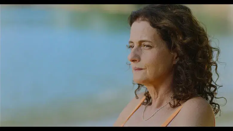 Livros Restantes - Fondo