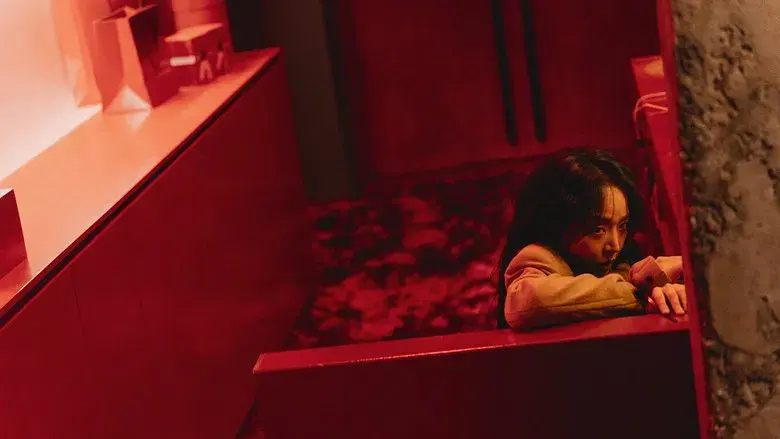 El arte de parecer Sarah - Fondo