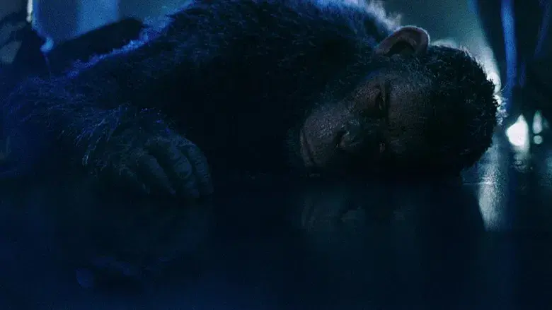 Better Man: La historia de Robbie Williams - Fondo