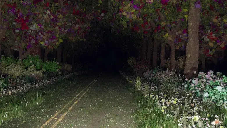 El maestro jardinero - Fondo