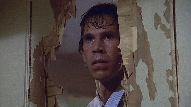 Furia silenciosa - Fondo