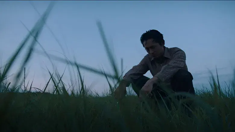 Minari - Historia de mi familia - Fondo