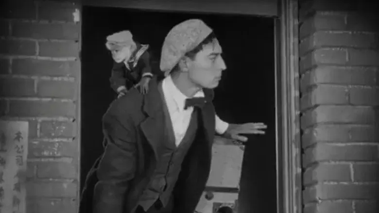 El cameraman - Fondo