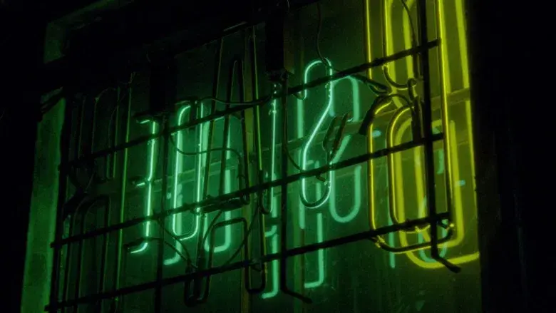 Fallen Leaves - Fondo