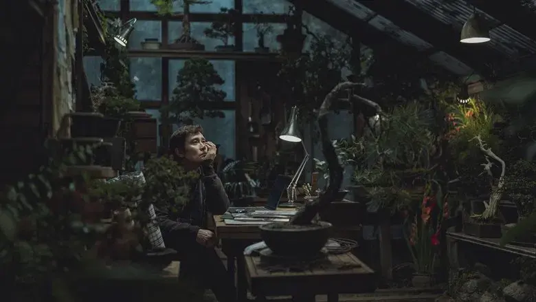 No hay otra opción - Fondo