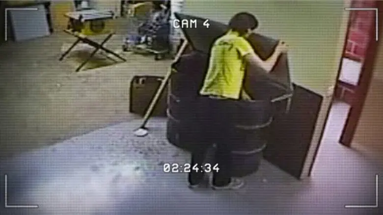 A los gatos, ni tocarlos: Un asesino en Internet - Fondo