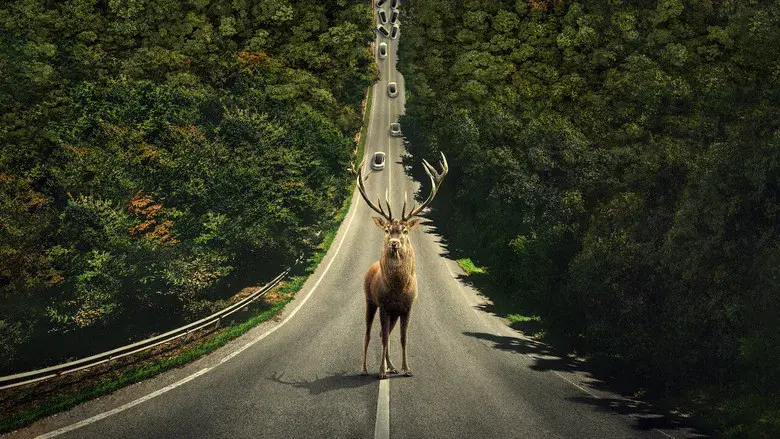 Dejar el mundo atrás - Fondo