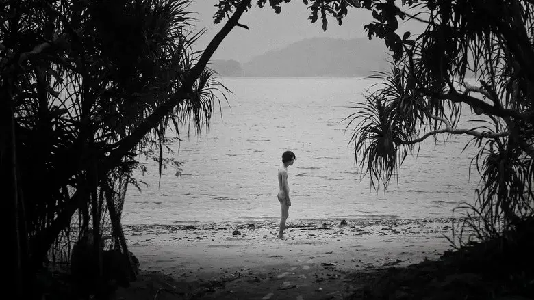 Queerpanorama - Fondo