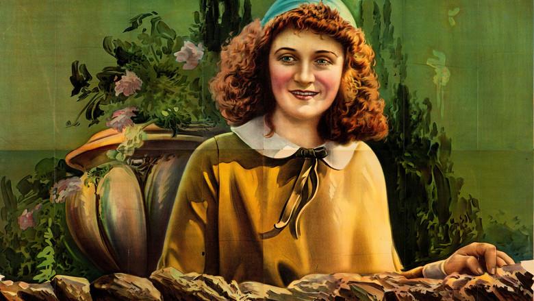 Let's Get a Divorce - Fondo