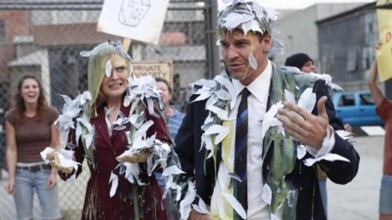 Un tipo duro entre gallinas