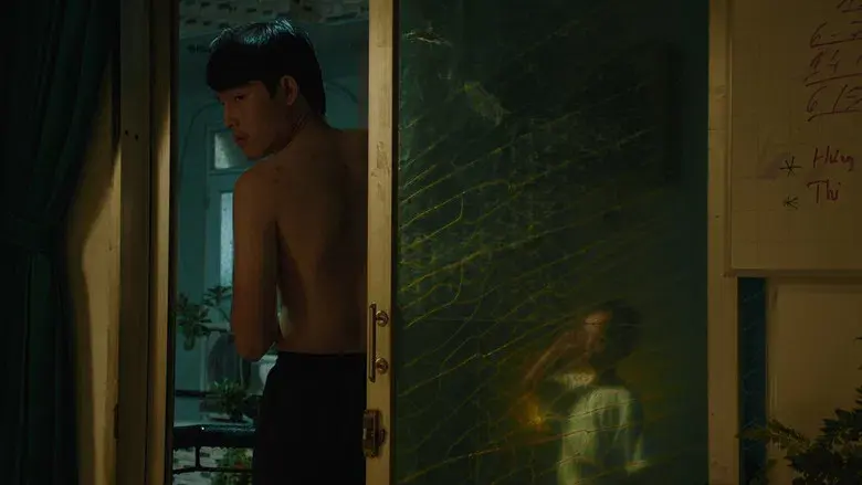 Bên Trong Vỏ Kén Vàng - Fondo