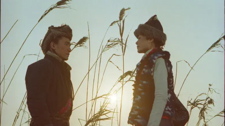 Chinese Odyssey 2002 - Backdrop