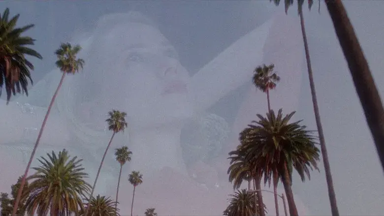 Mulholland Drive - Fondo
