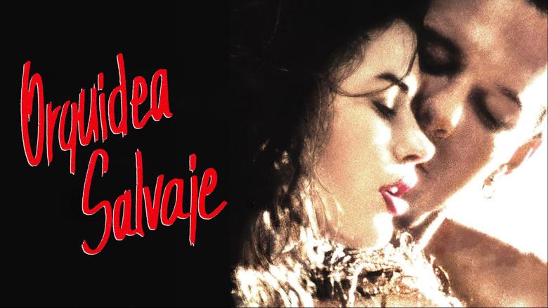 Orquídea salvaje - Fondo