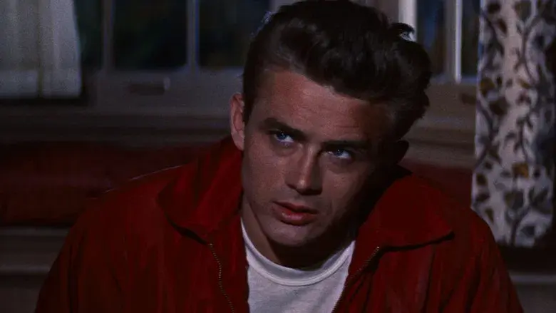 Rebelde sin causa - Fondo