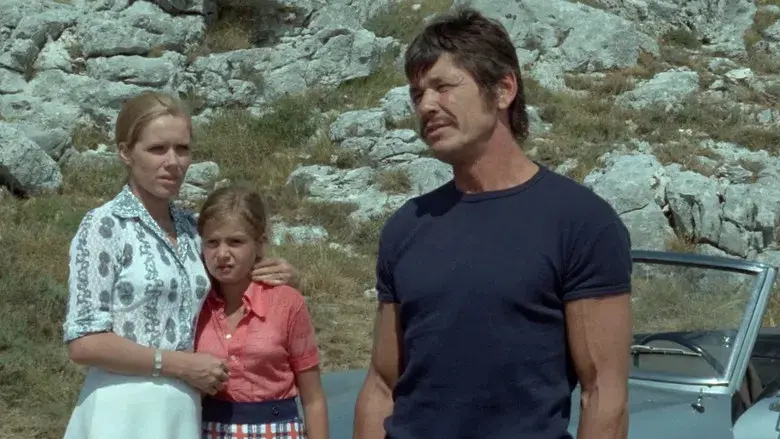 Cold Sweat - Backdrop