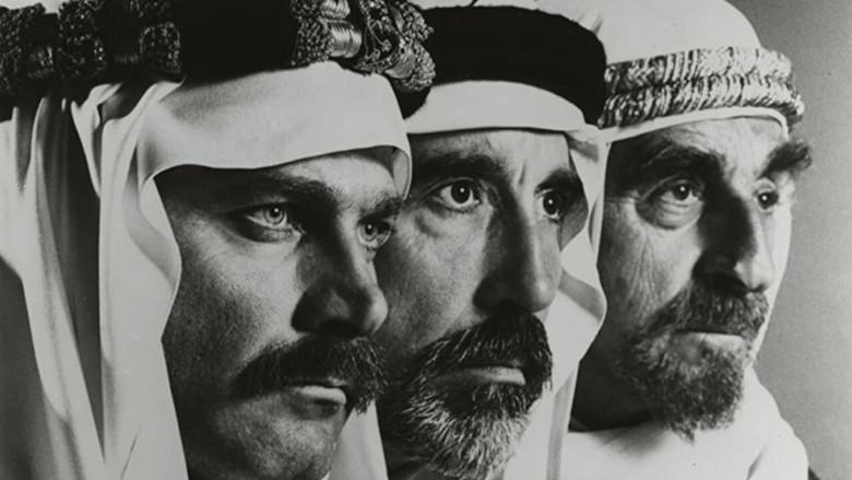 The Pirate - Fondo
