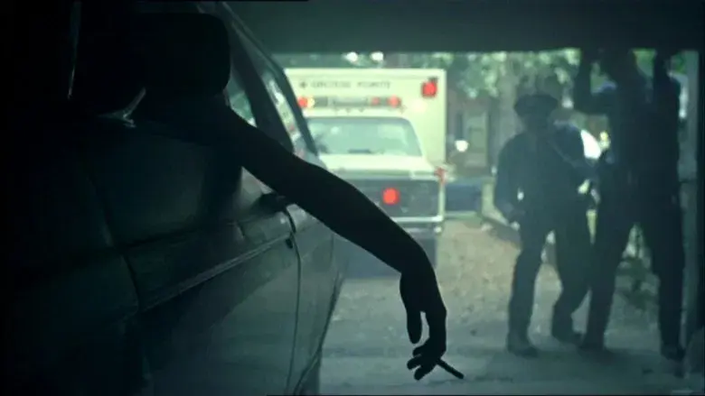 Las vírgenes suicidas - Fondo