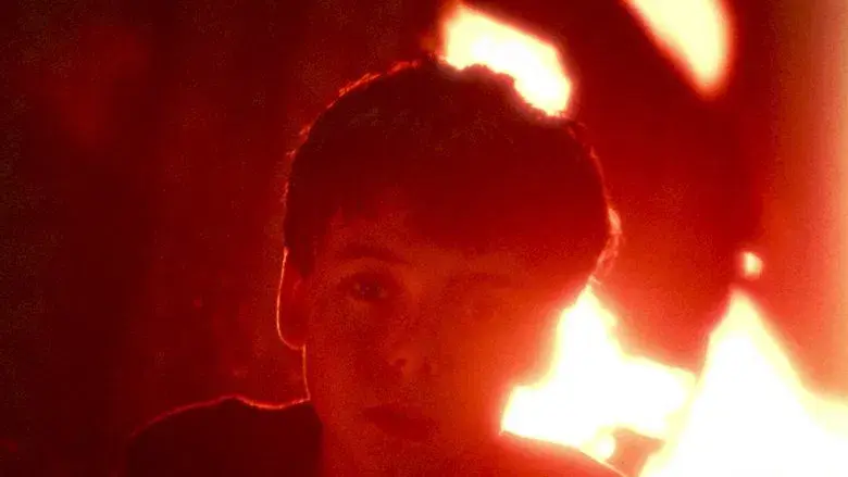 28 años después - Fondo