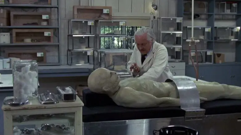 Sssssss: Silbido de muerte - Fondo