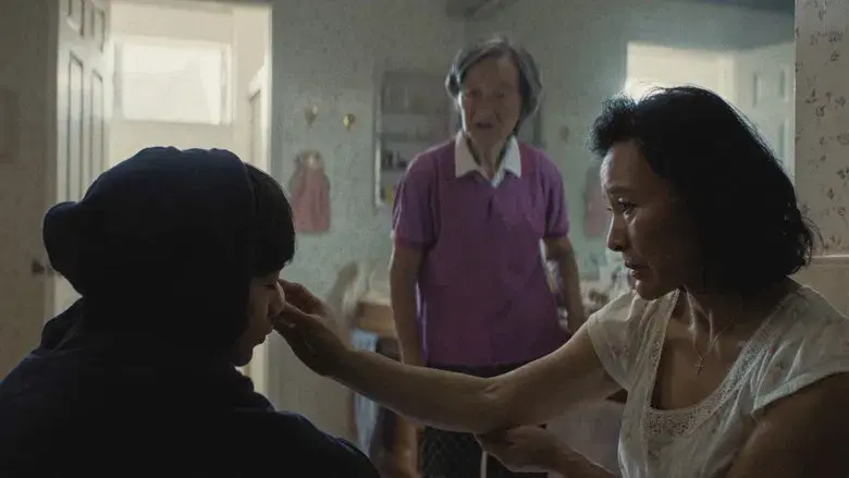 Dìdi (弟弟) - Fondo