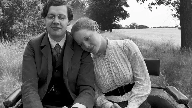 La cinta blanca - Fondo