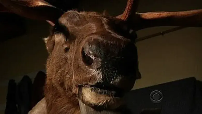 Que corra la sangre: tipo B. (parte 2)