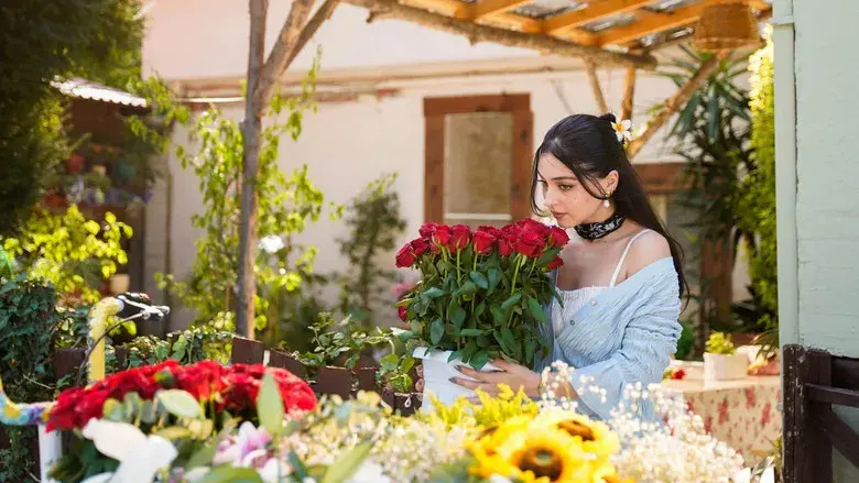 Güller ve Günahlar - Fondo