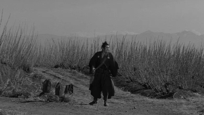 Yojimbo (El mercenario) - Fondo