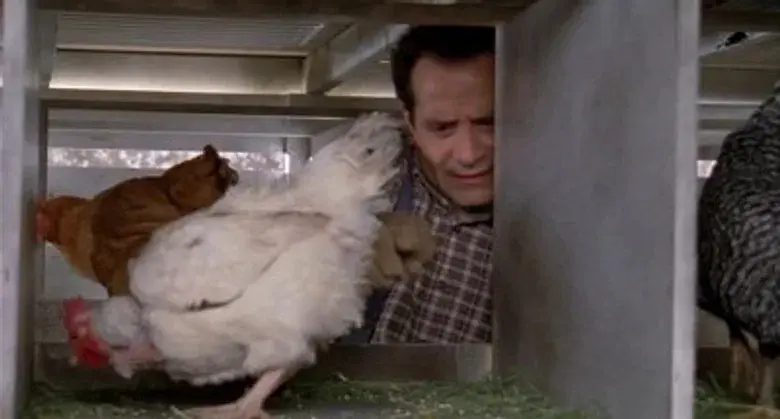 El Sr. Monk visita una granja