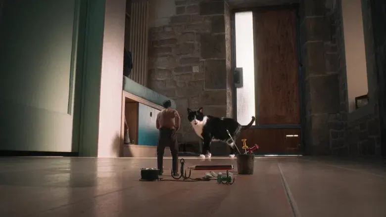 El hombre menguante - Fondo