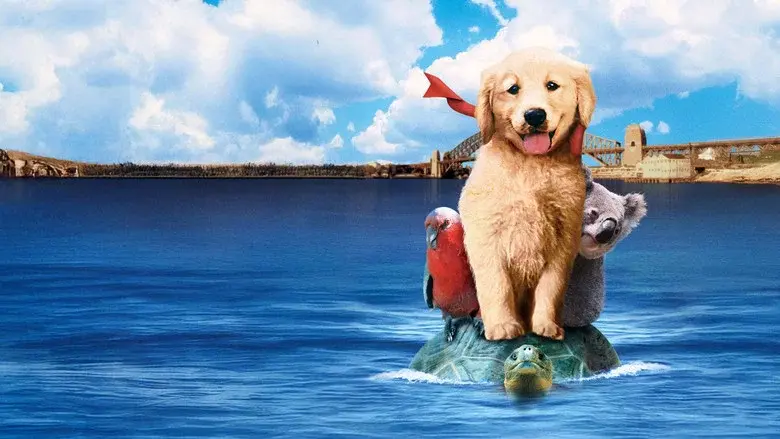Napoleón, el perrito aventurero - Fondo