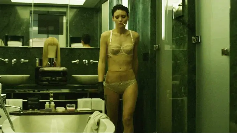 Millennium: Los hombres que no amaban a las mujeres - Fondo