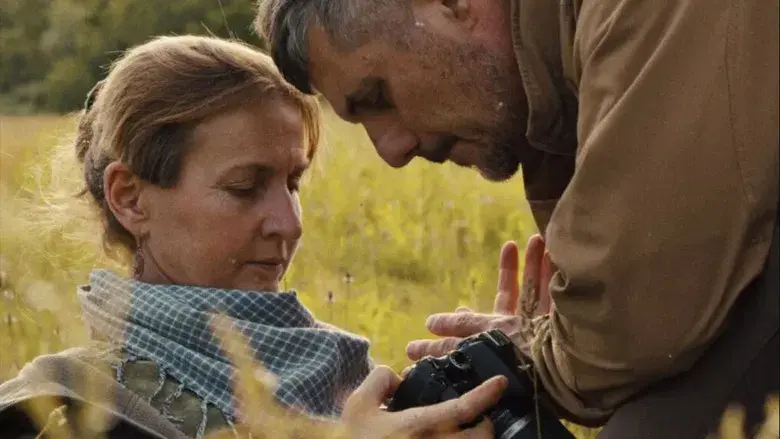 Porcelain War - Fondo