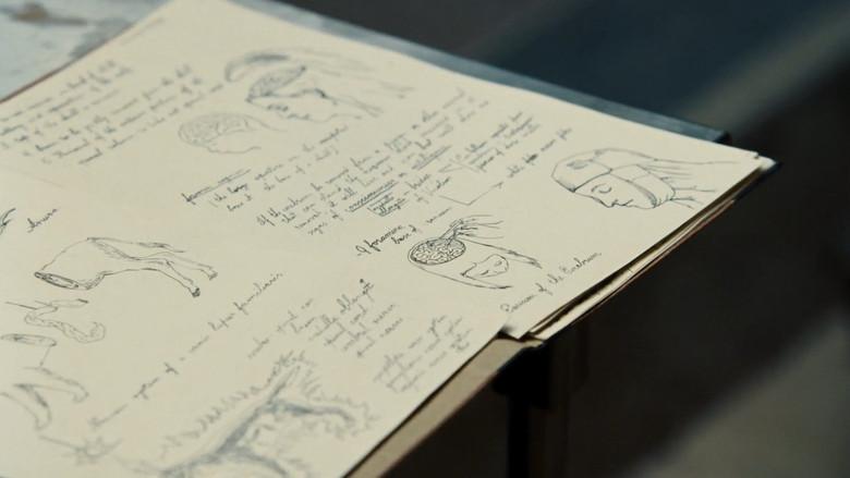 Pobres criaturas - Fondo