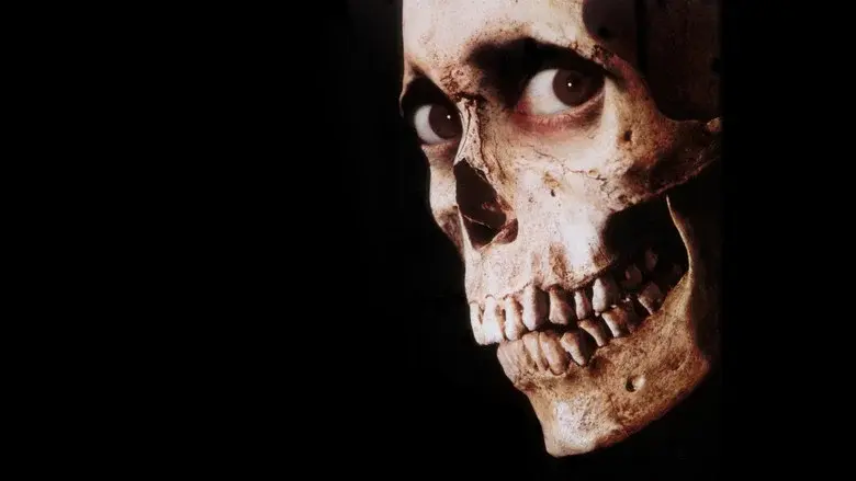 Terroríficamente muertos - Fondo